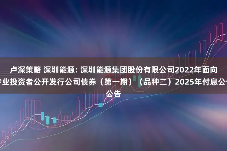 卢深策略 深圳能源: 深圳能源集团股份有限公司2022年面向专业投资者公开发行公司债券（第一期）（品种二）2025年付息公告