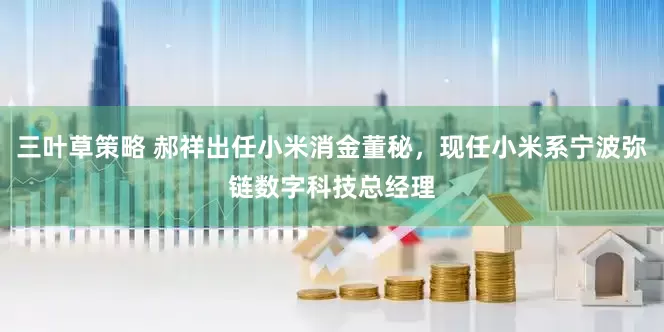 三叶草策略 郝祥出任小米消金董秘，现任小米系宁波弥链数字科技总经理