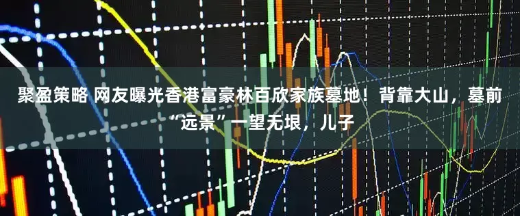 聚盈策略 网友曝光香港富豪林百欣家族墓地！背靠大山，墓前“远景”一望无垠，儿子